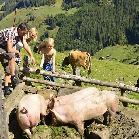 Humeraleitn Daire Alpbach
